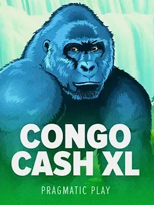 Congo Cash XL at Casiny